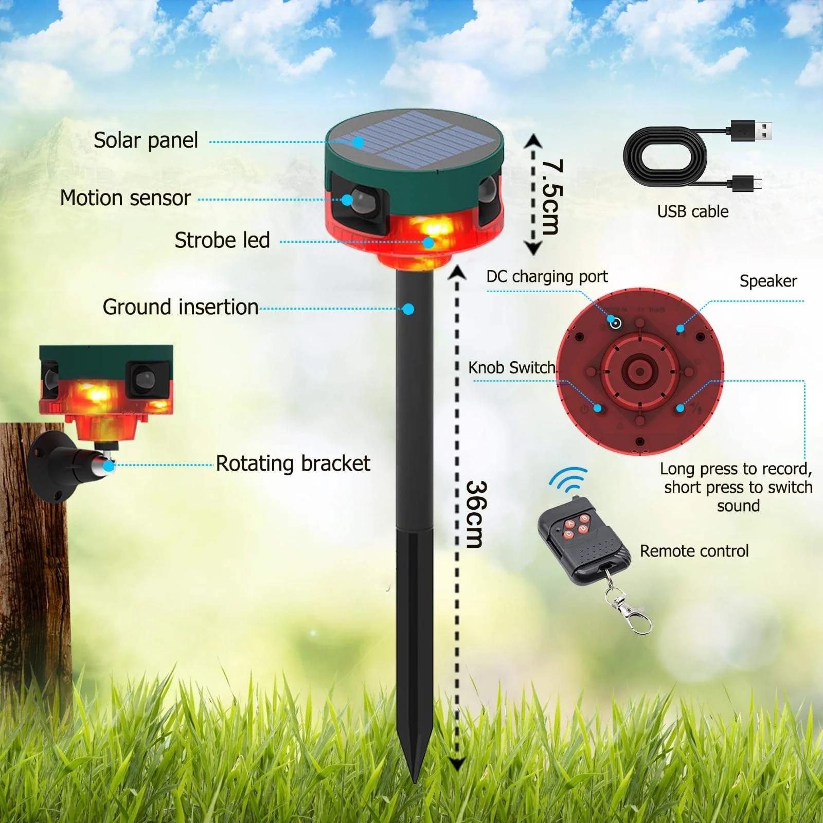 Product image 7