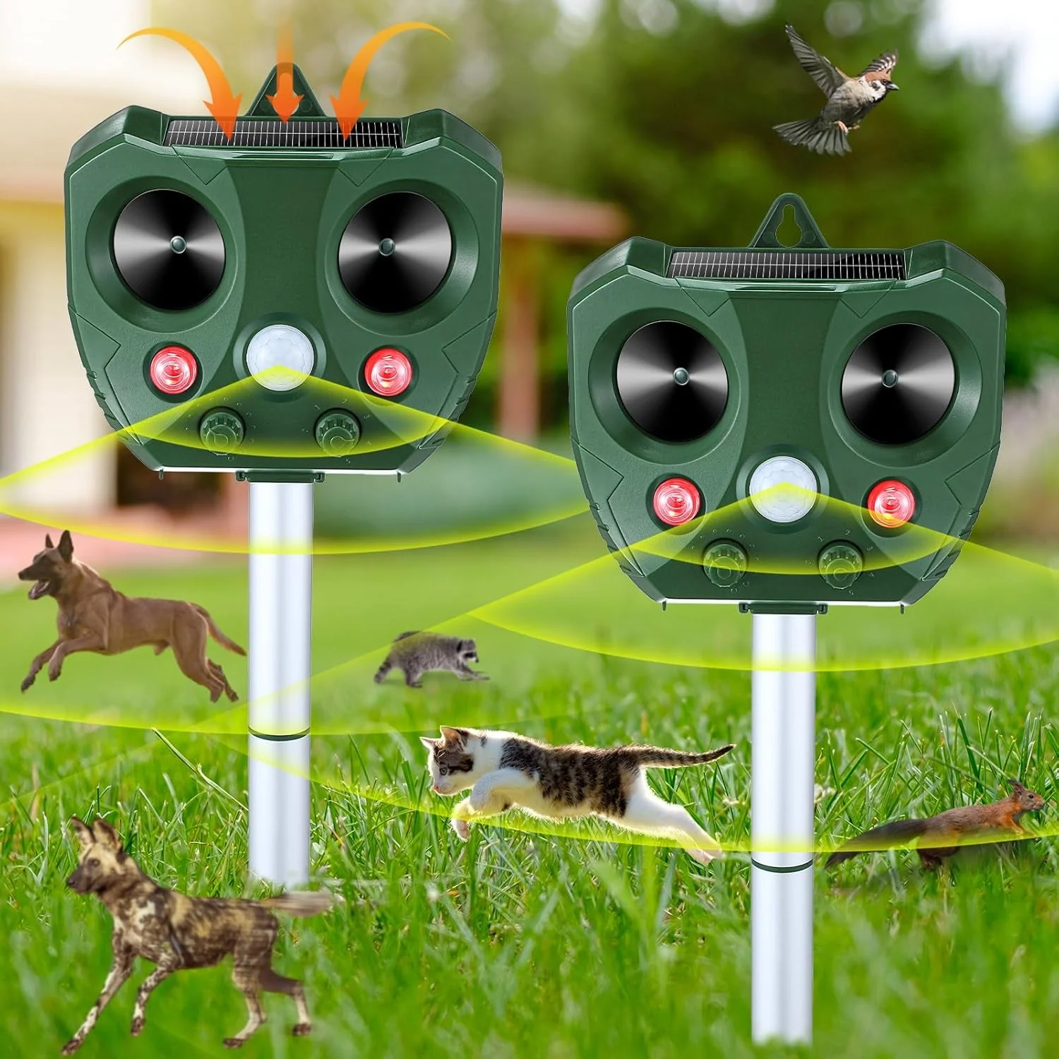 Product image 13